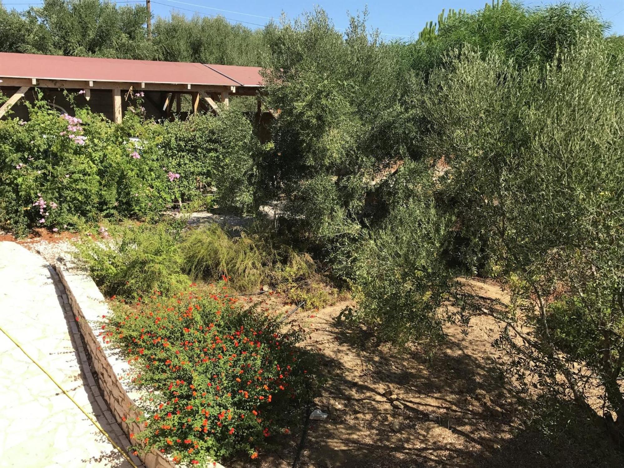 Luxurious Villa In Peloponnese With Swimming Pool Kamaria  ภายนอก รูปภาพ